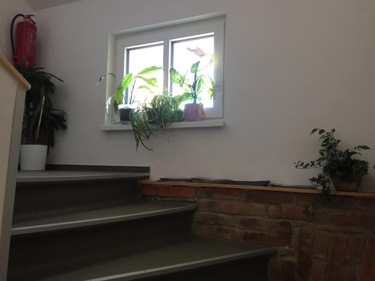 Penzion U Lastuvku Šluknov Exteriör bild